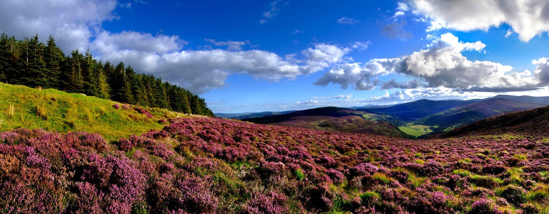 Wicklow Landscape